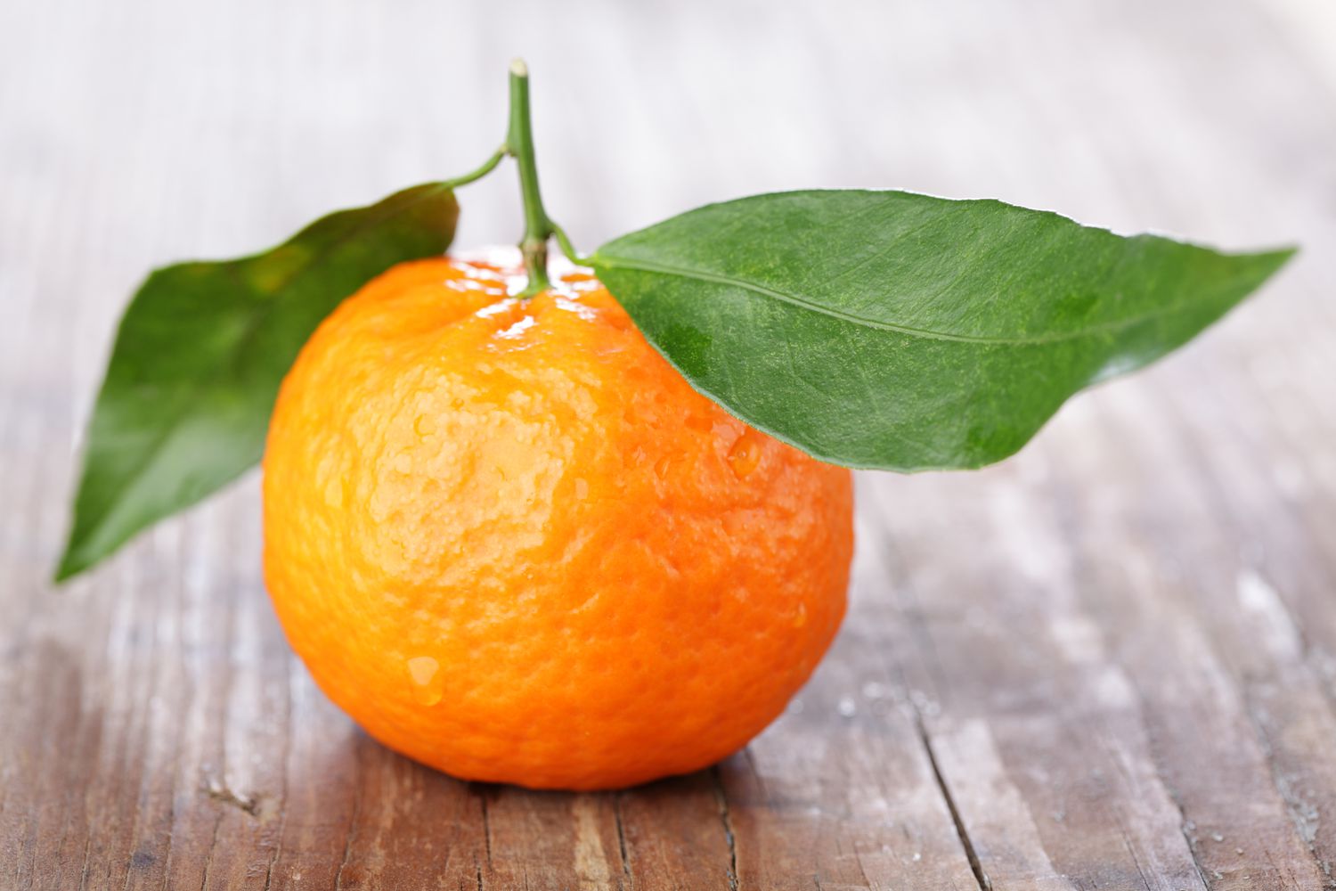 Mandarin Orange 581b2ccb3df78cc2e81b59a0